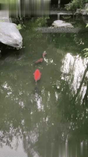 你喜欢奔驰还是美女的大腿?动图看鬼片中的初音未来