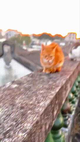 你喜欢奔驰还是美女的大腿?动图看鬼片中的初音未来