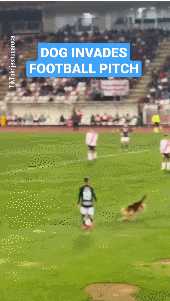 你喜欢奔驰还是美女的大腿?动图看鬼片中的初音未来