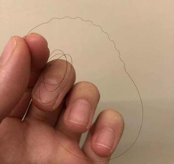 原来真的有四条腿的鸡!24张“活久见”的有趣照片