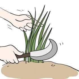 史上凉的最快的游戏?还没开服就宣布关服!