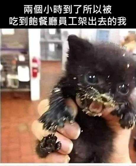 姐妹好大啊!可以摸摸吗 囧图 手感就像抓到棉花一样