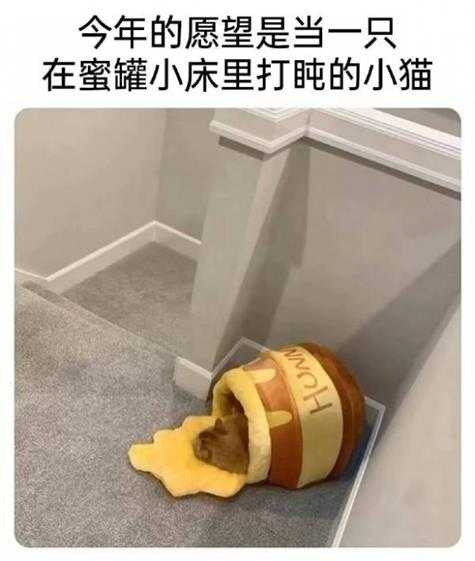 姐妹好大啊!可以摸摸吗 囧图 手感就像抓到棉花一样