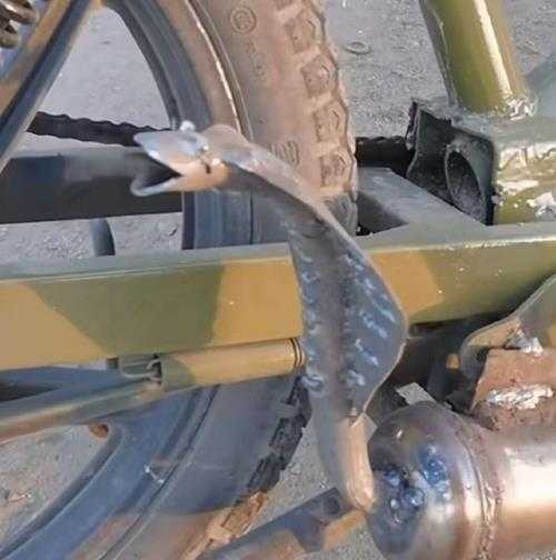 姐妹好大啊!可以摸摸吗 囧图 手感就像抓到棉花一样