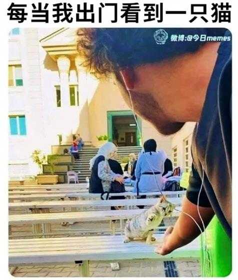 姐妹好大啊!可以摸摸吗 囧图 手感就像抓到棉花一样