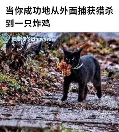 姐妹好大啊!可以摸摸吗 囧图 手感就像抓到棉花一样