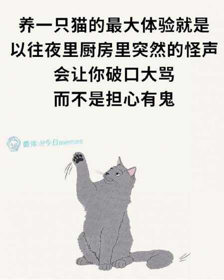 姐妹好大啊!可以摸摸吗 囧图 手感就像抓到棉花一样