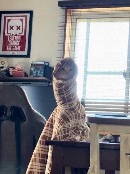 姐妹好大啊!可以摸摸吗 囧图 手感就像抓到棉花一样