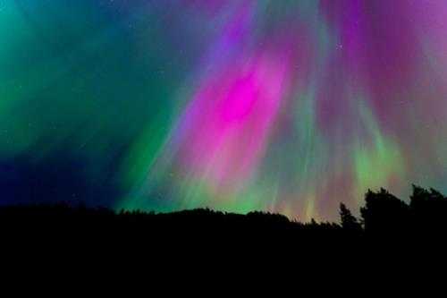 全球多地均有机会观赏到极光这一自然奇观 一起来看!