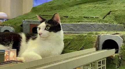 你喜欢奔驰还是美女的大腿?动图看鬼片中的初音未来