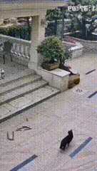 你喜欢奔驰还是美女的大腿?动图看鬼片中的初音未来