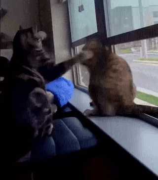 你喜欢奔驰还是美女的大腿?动图看鬼片中的初音未来