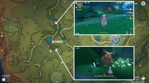 兽有失蹄任务怎么触发？任务攻略详细介绍