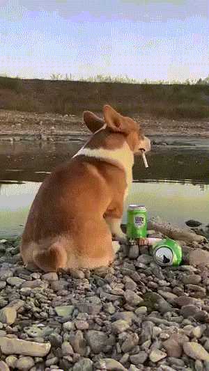 你喜欢奔驰还是美女的大腿?动图看鬼片中的初音未来