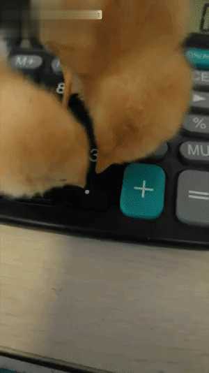 你喜欢奔驰还是美女的大腿?动图看鬼片中的初音未来