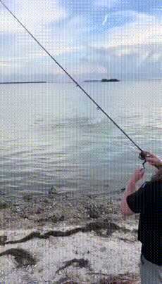 你喜欢奔驰还是美女的大腿?动图看鬼片中的初音未来