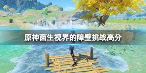 《原神》溢神的猜想第三天怎么拿高分?菌生视界的障壁挑战高分技巧