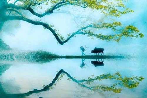 5一6月旅游国内最佳地(国内五六月份适合旅游的地方)