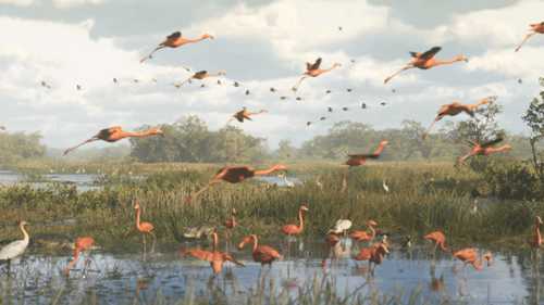 《GTA6》预告高清图赏:欢迎来到美丽的罪城!